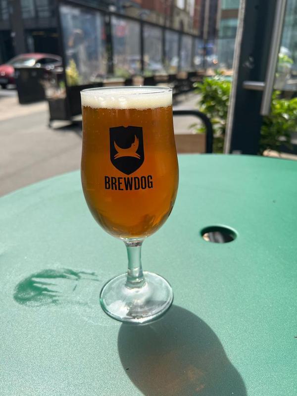 Beer