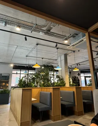 Colony seating