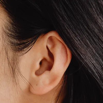 Heard ear