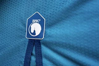 Epic horse logo product close up