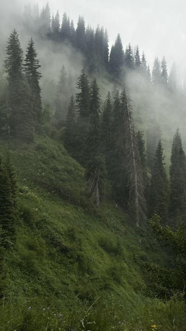 Misty mountain