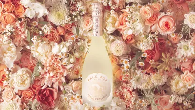 Palefoxprosecco header 1