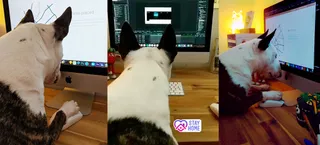 Pebble working 2