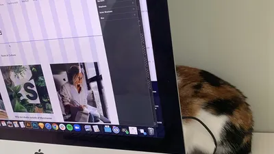 Working from home header