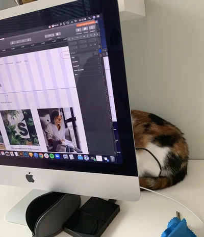 Working from home header