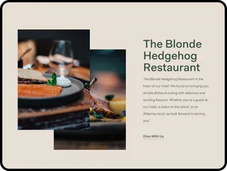 Blondehedgehog ipad 3