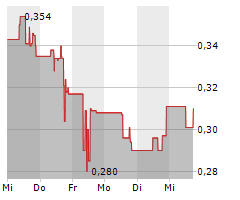 MERIDIAN MINING UK SOCIETAS Chart 1 Jahr