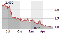 PYRAMID AG Chart 1 Jahr