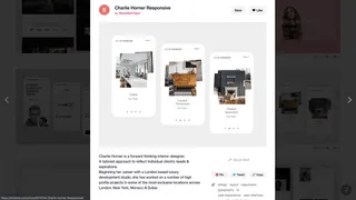 Dribbble snapshot 2020