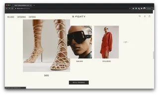 Fenty categories