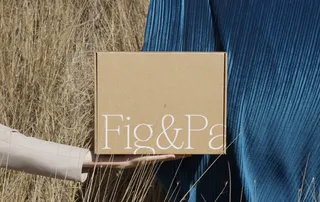 Fig palm