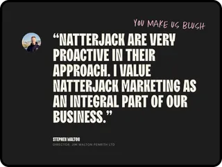 Natterjack ipad 3